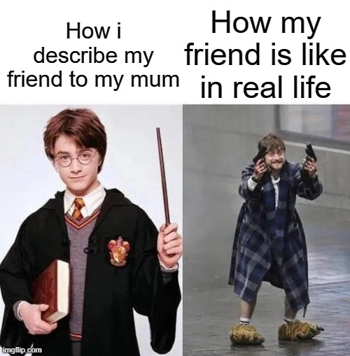 meme | How my friend is like in real life; How i describe my friend to my mum | image tagged in harry crazy harry,school | made w/ Imgflip meme maker