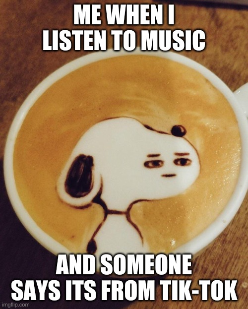 True story | ME WHEN I LISTEN TO MUSIC; AND SOMEONE SAYS ITS FROM TIK-TOK | image tagged in pissed off dog | made w/ Imgflip meme maker