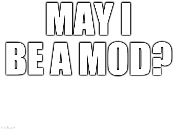 Please | MAY I BE A MOD? | image tagged in blank white template | made w/ Imgflip meme maker
