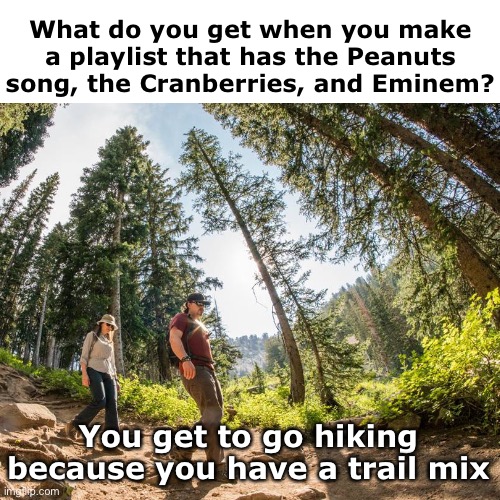 Nature Valley | What do you get when you make a playlist that has the Peanuts song, the Cranberries, and Eminem? You get to go hiking because you have a trail mix | image tagged in funny memes,bad jokes,eyeroll | made w/ Imgflip meme maker