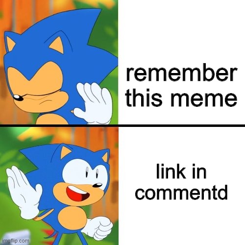 Sonic Drake | remember this meme; link in commentd | image tagged in sonic drake | made w/ Imgflip meme maker