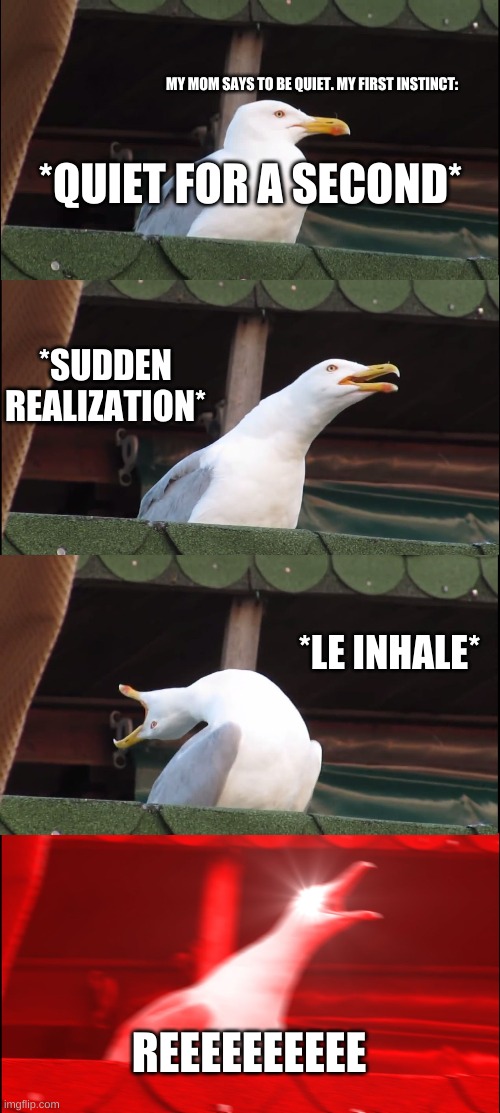 me | MY MOM SAYS TO BE QUIET. MY FIRST INSTINCT:; *QUIET FOR A SECOND*; *SUDDEN REALIZATION*; *LE INHALE*; REEEEEEEEEE | image tagged in memes,inhaling seagull | made w/ Imgflip meme maker