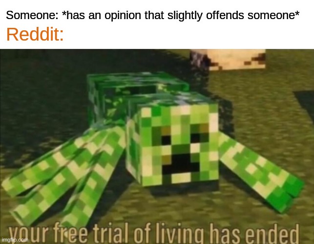 haha reddit bad not very wholesome 100 | Someone: *has an opinion that slightly offends someone*; Reddit: | image tagged in your free trial of living has ended | made w/ Imgflip meme maker