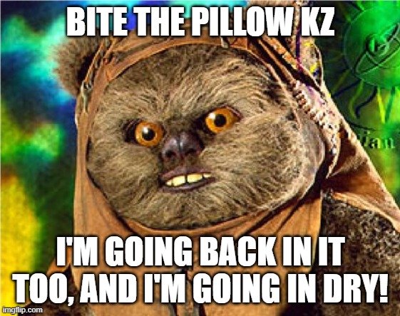 4snl4q.jpg