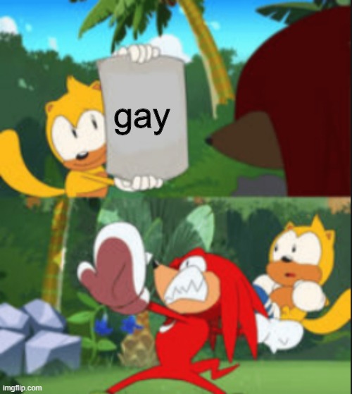 Knuckles throws Ray | gay | image tagged in knuckles throws ray | made w/ Imgflip meme maker