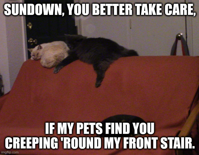 Sundown, you better take care |  SUNDOWN, YOU BETTER TAKE CARE, IF MY PETS FIND YOU CREEPING 'ROUND MY FRONT STAIR. | image tagged in cats,security,funny memes | made w/ Imgflip meme maker
