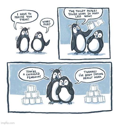 Toilet paper penguin comic | image tagged in penguins,toilet paper,comics/cartoons,comics,comic,penguin | made w/ Imgflip meme maker