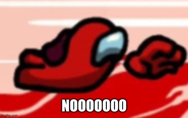 Among us red lol | NOOOOOOO | image tagged in among us red lol | made w/ Imgflip meme maker