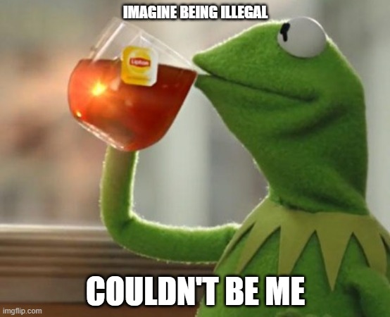imagine | IMAGINE BEING ILLEGAL; COULDN'T BE ME | image tagged in but thats none of my business | made w/ Imgflip meme maker