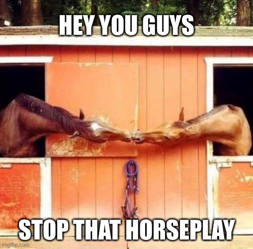 Horsing Around | HEY YOU GUYS; STOP THAT HORSEPLAY | image tagged in funny memes,bad puns,eyeroll | made w/ Imgflip meme maker