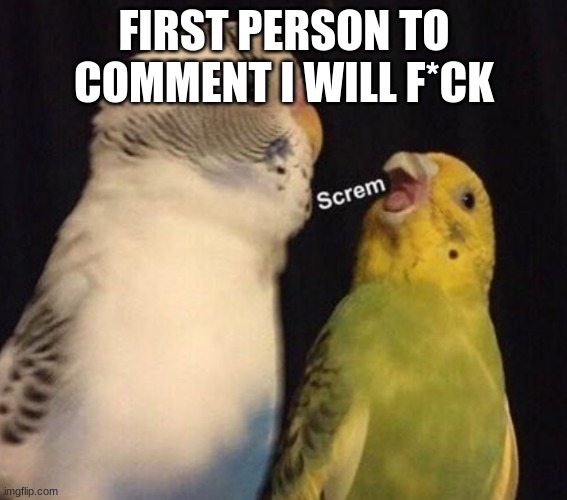screm | FIRST PERSON TO COMMENT I WILL F*CK | image tagged in screm | made w/ Imgflip meme maker