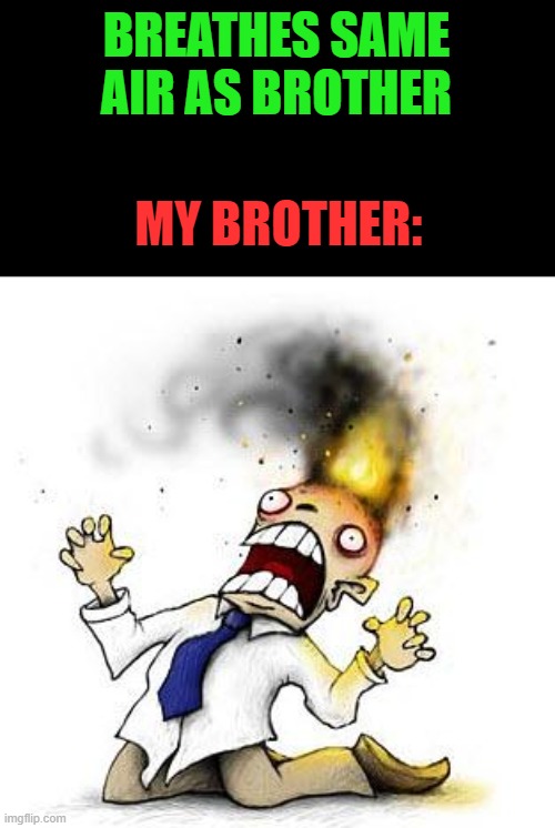 The Irony It Burns!!! | BREATHES SAME AIR AS BROTHER; MY BROTHER: | image tagged in the irony it burns | made w/ Imgflip meme maker