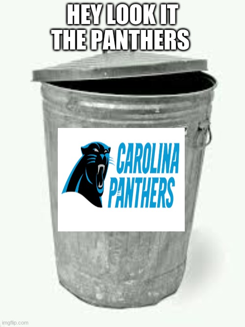 HEY LOOK IT THE PANTHERS | image tagged in nfl memes | made w/ Imgflip meme maker