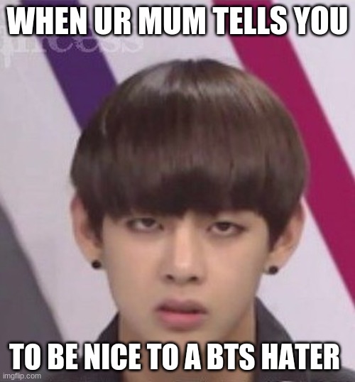 BTS V | WHEN UR MUM TELLS YOU; TO BE NICE TO A BTS HATER | image tagged in bts v | made w/ Imgflip meme maker