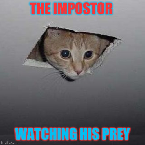 The impostor | THE IMPOSTOR; WATCHING HIS PREY | image tagged in memes,ceiling cat | made w/ Imgflip meme maker