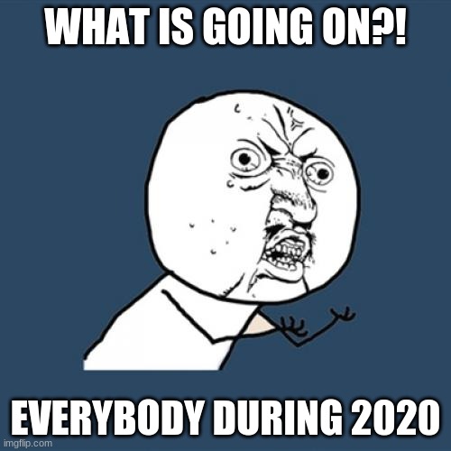hold up | WHAT IS GOING ON?! EVERYBODY DURING 2020 | image tagged in memes,y u no | made w/ Imgflip meme maker