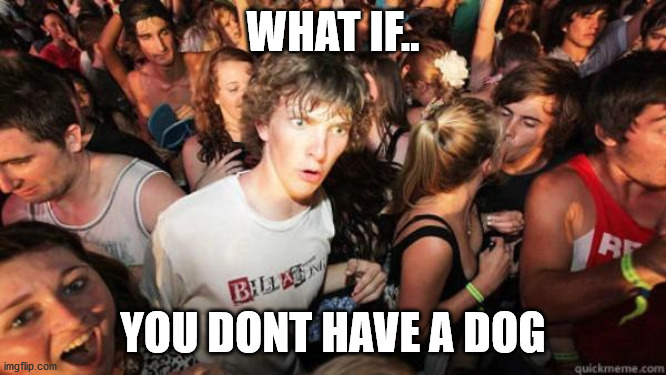 what if rave | WHAT IF.. YOU DONT HAVE A DOG | image tagged in what if rave | made w/ Imgflip meme maker