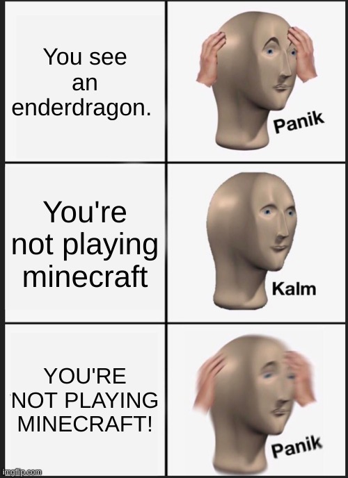 panik memes that are like this are dumb | You see an enderdragon. You're not playing minecraft; YOU'RE NOT PLAYING MINECRAFT! | image tagged in memes,panik kalm panik | made w/ Imgflip meme maker