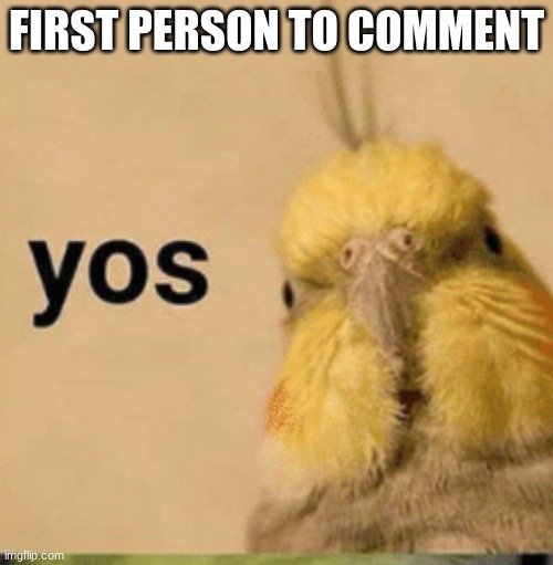 will be controlled | FIRST PERSON TO COMMENT | image tagged in yos | made w/ Imgflip meme maker