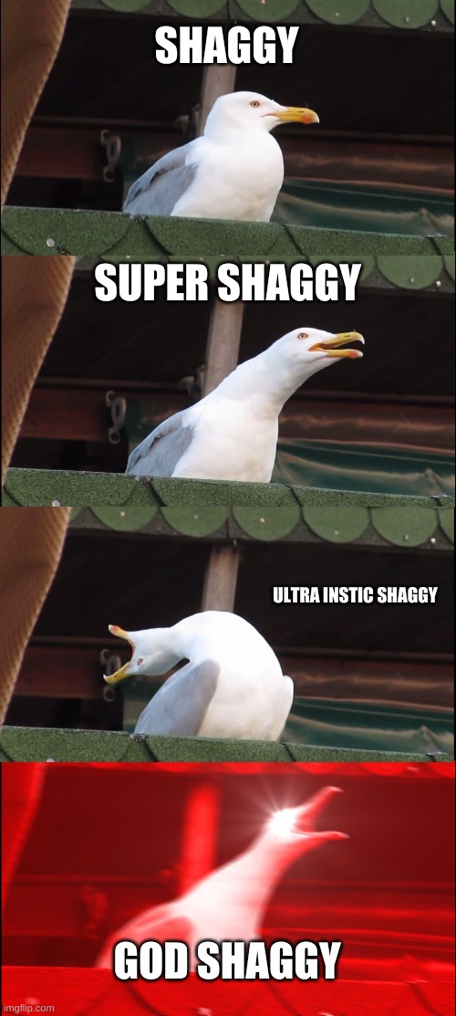 Inhaling Seagull Meme | SHAGGY; SUPER SHAGGY; ULTRA INSTIC SHAGGY; GOD SHAGGY | image tagged in memes,inhaling seagull | made w/ Imgflip meme maker