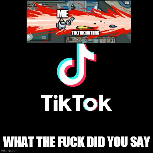 tiktok logo | ME WHAT THE FUCK DID YOU SAY TIKTOK HATERS | image tagged in tiktok logo | made w/ Imgflip meme maker