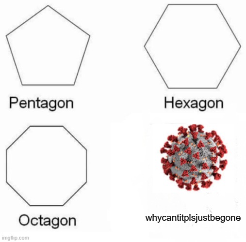 how made this | whycantitplsjustbegone | image tagged in memes,pentagon hexagon octagon | made w/ Imgflip meme maker