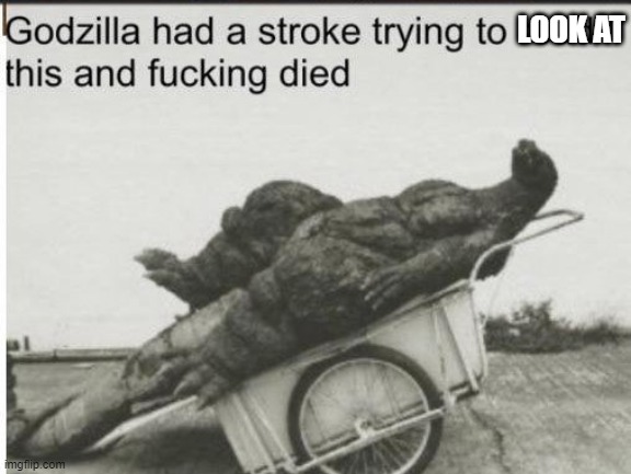 Godzilla | LOOK AT | image tagged in godzilla | made w/ Imgflip meme maker