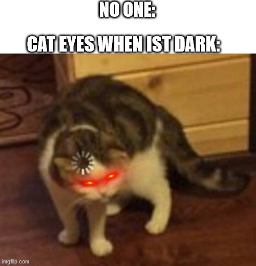 Loading cat | NO ONE:; CAT EYES WHEN IST DARK: | image tagged in loading cat | made w/ Imgflip meme maker