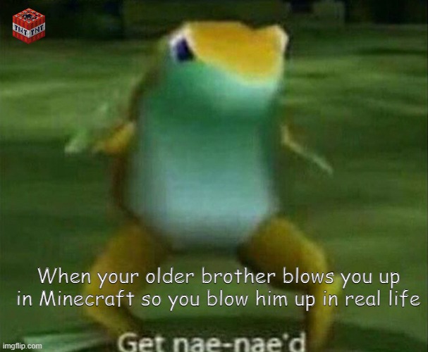get nae nae'd | When your older brother blows you up in Minecraft so you blow him up in real life | image tagged in get nae-nae'd | made w/ Imgflip meme maker