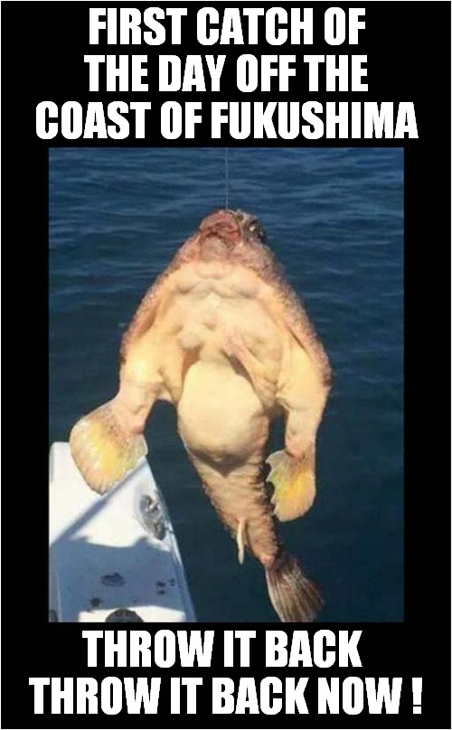 Japanese Fishy Horror | FIRST CATCH OF THE DAY OFF THE COAST OF FUKUSHIMA; THROW IT BACK  THROW IT BACK NOW ! | image tagged in fun,fukushima,mutant,fish,frontpage | made w/ Imgflip meme maker