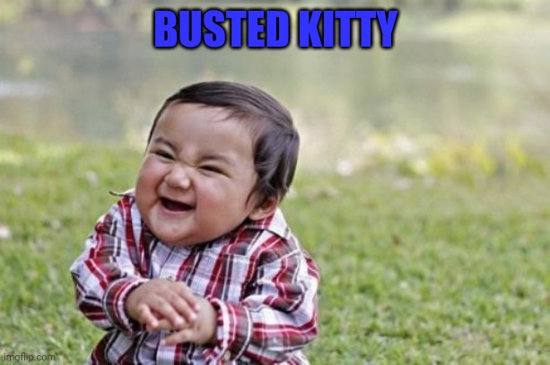 Evil Toddler Meme | BUSTED KITTY | image tagged in memes,evil toddler | made w/ Imgflip meme maker