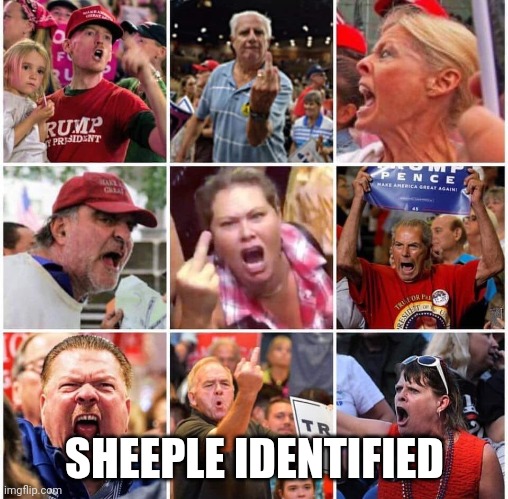 Triggered Trump supporters | SHEEPLE IDENTIFIED | image tagged in triggered trump supporters | made w/ Imgflip meme maker