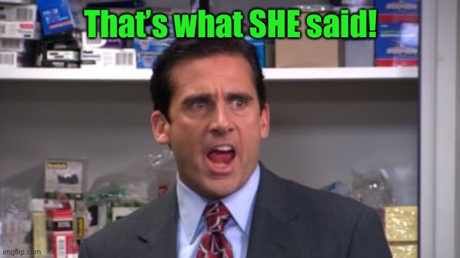 the office bankruptcy | That’s what SHE said! | image tagged in the office bankruptcy | made w/ Imgflip meme maker