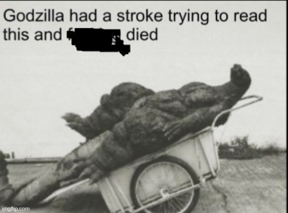 Godzila had a stroke trying to read this | image tagged in godzila had a stroke trying to read this | made w/ Imgflip meme maker