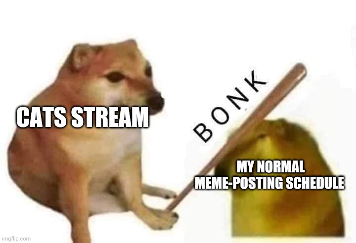 Doge bonk | CATS STREAM; MY NORMAL MEME-POSTING SCHEDULE | image tagged in doge bonk | made w/ Imgflip meme maker