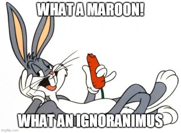 The adventure of bugs bunny |  WHAT A MAROON! WHAT AN IGNORANIMUS | image tagged in the adventure of bugs bunny | made w/ Imgflip meme maker