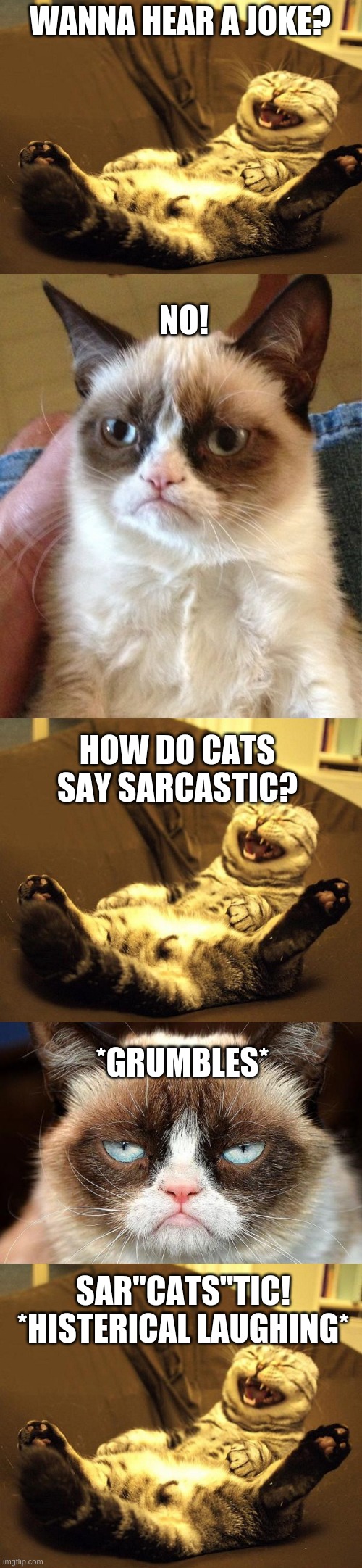 this im going to make a template of called "cat jokes" btw | WANNA HEAR A JOKE? NO! HOW DO CATS SAY SARCASTIC? *GRUMBLES*; SAR"CATS"TIC! *HISTERICAL LAUGHING* | image tagged in blank white template,memes,grumpy cat,laughing cat,grumpy cat not amused | made w/ Imgflip meme maker