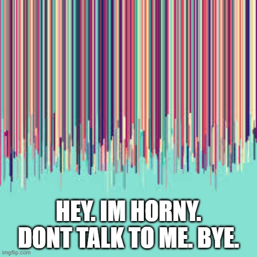 heh | HEY. IM HORNY. DONT TALK TO ME. BYE. | image tagged in idk | made w/ Imgflip meme maker