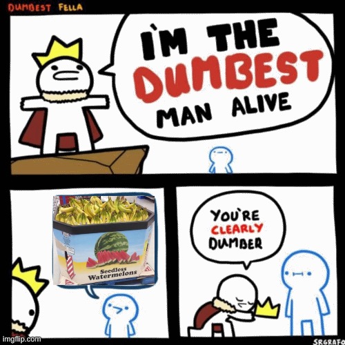 im the dumbest man alive (higher quality) | image tagged in im the dumbest man alive higher quality | made w/ Imgflip meme maker