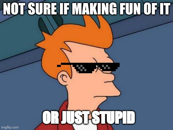 Futurama Fry Meme | NOT SURE IF MAKING FUN OF IT; OR JUST STUPID | image tagged in memes,futurama fry | made w/ Imgflip meme maker