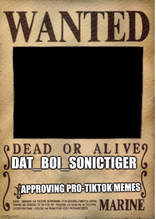 One piece wanted poster template | DAT_BOI_SONICTIGER; APPROVING PRO-TIKTOK MEMES | image tagged in one piece wanted poster template | made w/ Imgflip meme maker