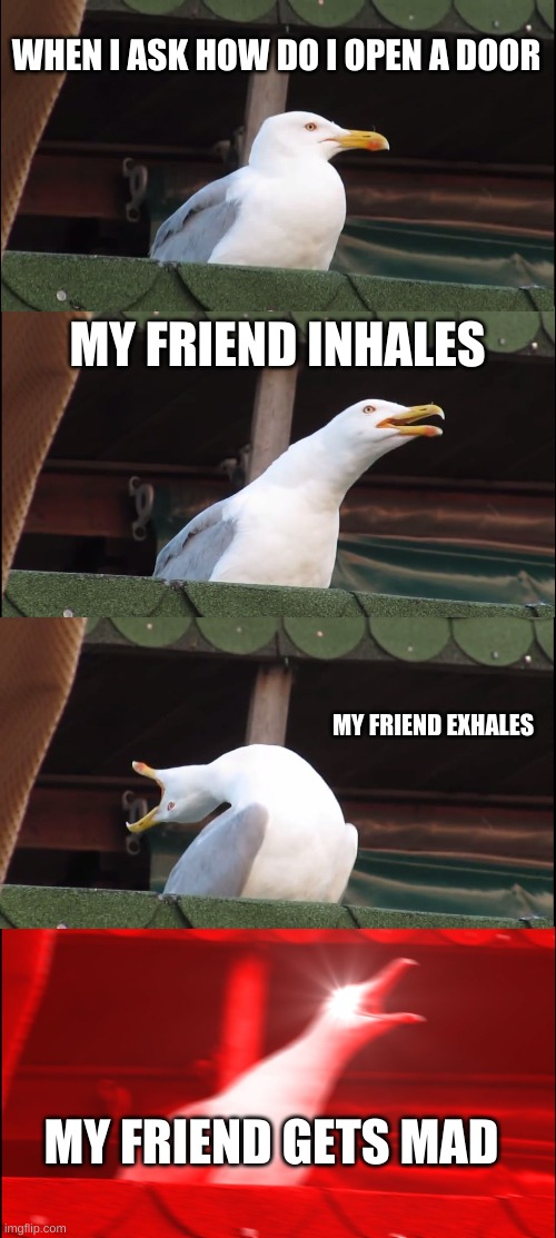 My friend gets mad over a question | WHEN I ASK HOW DO I OPEN A DOOR; MY FRIEND INHALES; MY FRIEND EXHALES; MY FRIEND GETS MAD | image tagged in memes,inhaling seagull | made w/ Imgflip meme maker