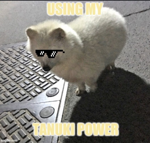 Tanuki Power | image tagged in tanuki fluff,tanuki | made w/ Imgflip meme maker