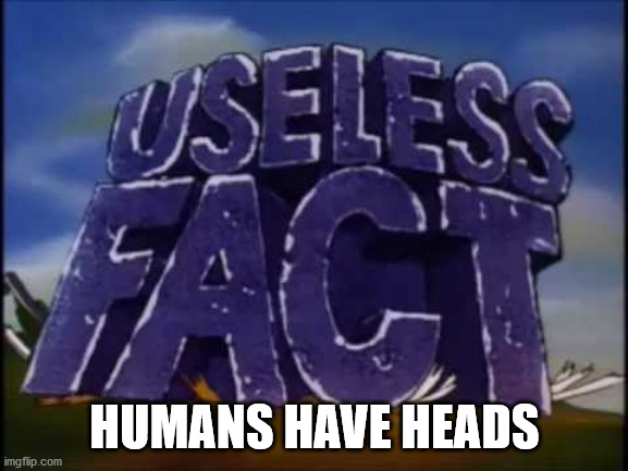 useless fact | HUMANS HAVE HEADS | image tagged in useless fact | made w/ Imgflip meme maker