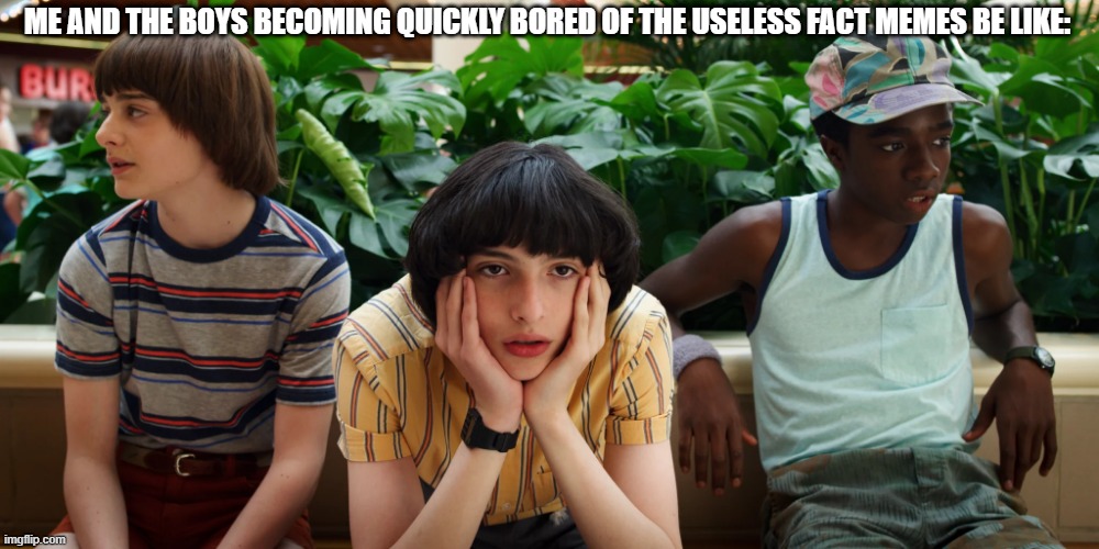 Plus, I could only think of one. | ME AND THE BOYS BECOMING QUICKLY BORED OF THE USELESS FACT MEMES BE LIKE: | image tagged in me and the boys stranger things,stranger things,useless fact,me and the boys | made w/ Imgflip meme maker