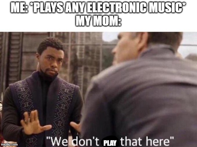 B o o m k i t t y | ME: *PLAYS ANY ELECTRONIC MUSIC*
MY MOM:; PLAY | image tagged in we dont do that here | made w/ Imgflip meme maker