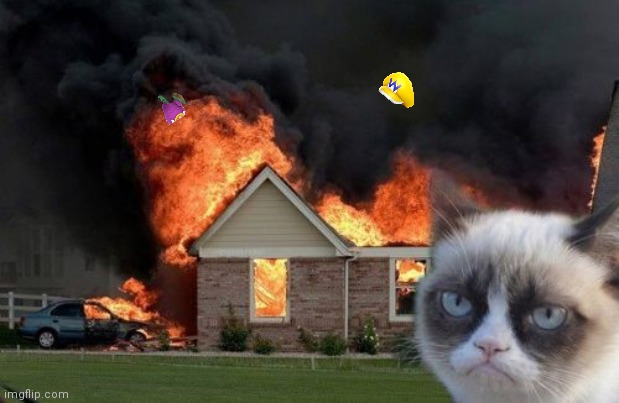 Grumpy cat set wario's house on fire! mp3 | image tagged in memes,burn kitty,grumpy cat | made w/ Imgflip meme maker