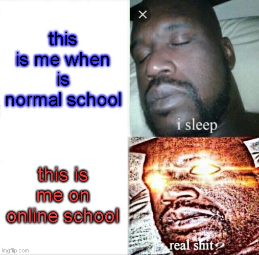 school meme | this is me when is normal school; this is me on online school | image tagged in memes,sleeping shaq | made w/ Imgflip meme maker