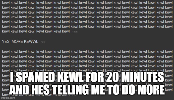 I SPAMED KEWL FOR 20 MINUTES AND HES TELLING ME TO DO MORE | image tagged in spam | made w/ Imgflip meme maker