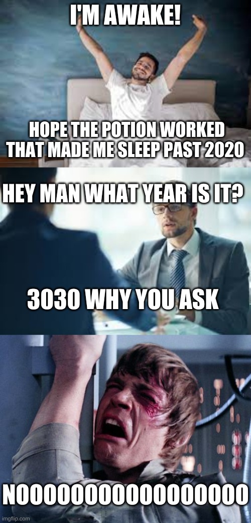 ddddd | I'M AWAKE! HOPE THE POTION WORKED THAT MADE ME SLEEP PAST 2020; HEY MAN WHAT YEAR IS IT? 3030 WHY YOU ASK; NOOOOOOOOOOOOOOOOO | image tagged in funny memes | made w/ Imgflip meme maker